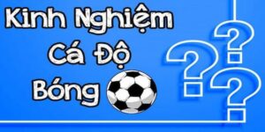 Kinh nghiệm chơi cá độ bóng đá
