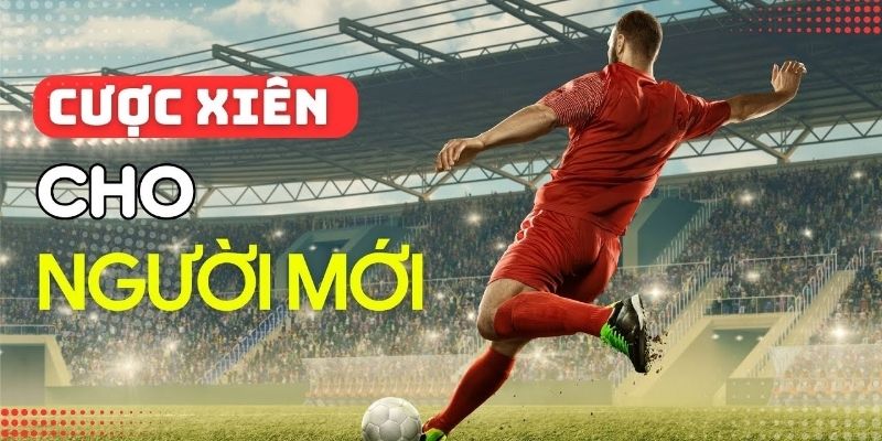 Những kinh nghiệm chơi cược xiên là gì để hiệu quả